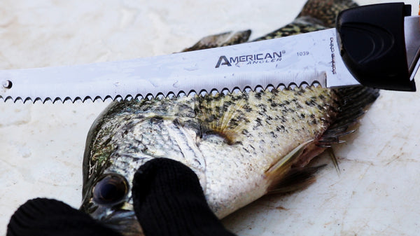 American Angler Official Website